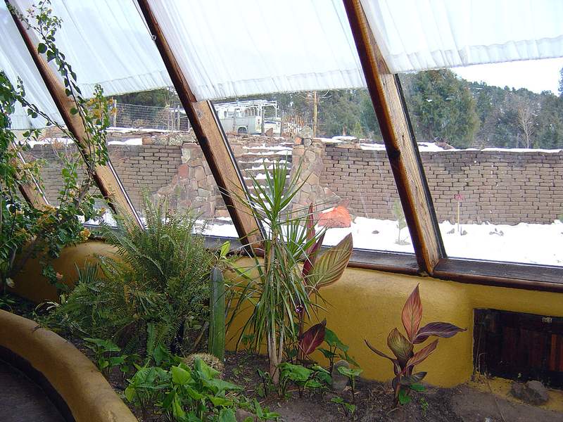 Featured of Best Plants for Improving Indoor Air Quality