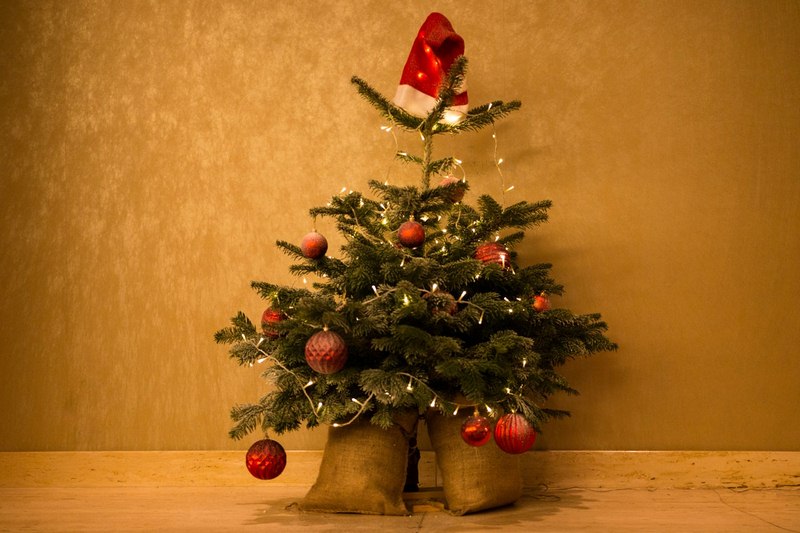 Featured of Green Holiday Ideas, How to Have a Green Christmas Tree