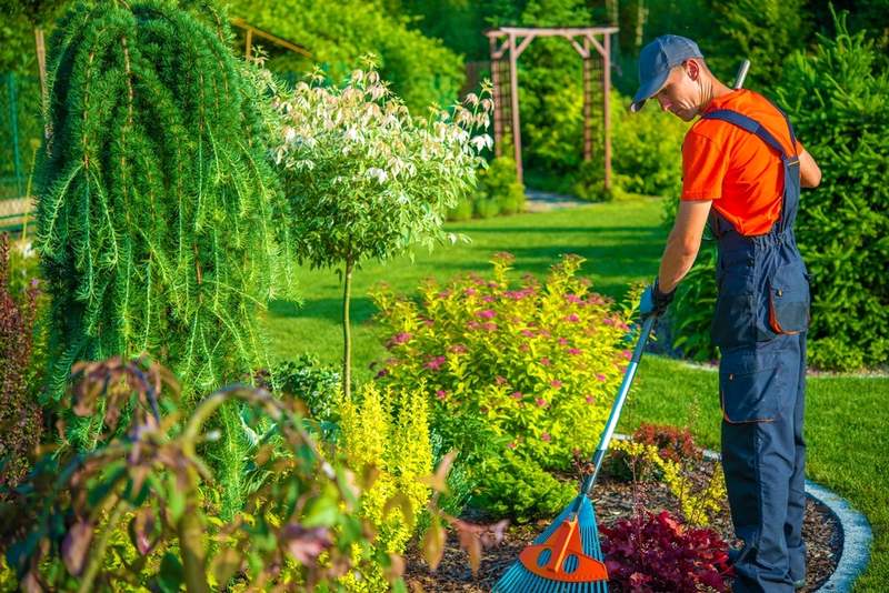 Featured of Professional Commercial Garden Maintenance Services