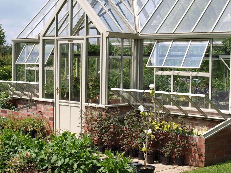Featured image - What are the Main Types of Greenhouses