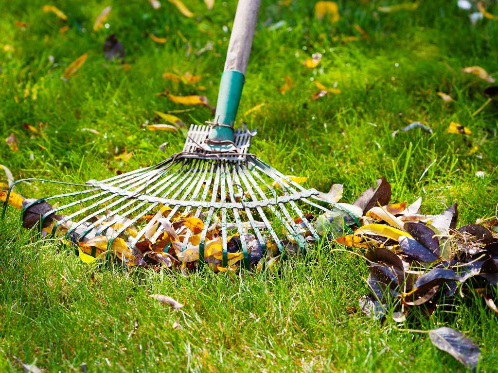 Featured image - Yard Care and Your Safety - 5 Tips You Should Never Forgo