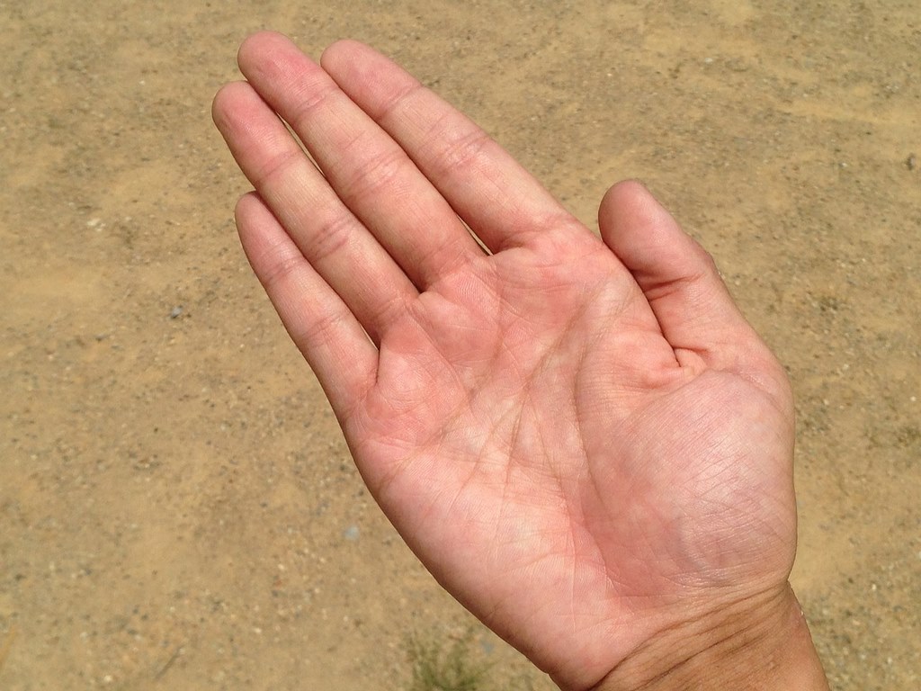 Featured image - Palm Readings, Myth or Meaningful