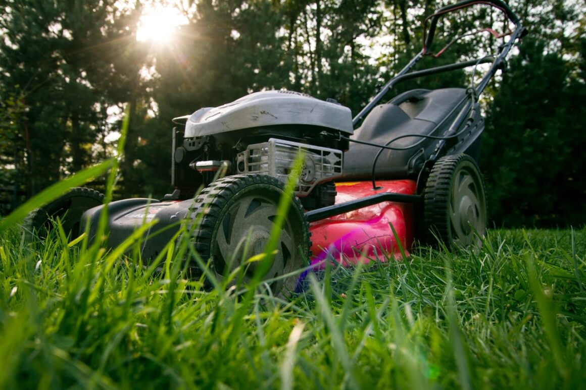Featured image - 9 Bad Habits That May Be Harming Your Lawn