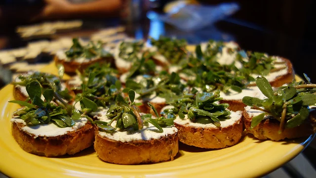 Crostini spread with goat cheese and topped with purslane Crostini spread with goat cheese and topped with purslane