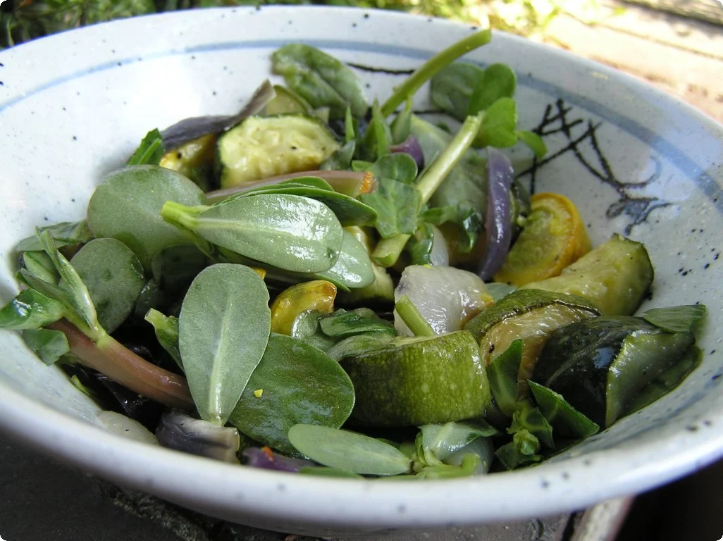 In this salad, raw chopped purslane leaves (with stems) are added to grilled onions, zucchini, and yellow squash. In this salad, raw chopped purslane leaves (with stems) are added to grilled onions, zucchini, and yellow squash