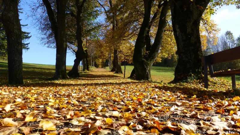 Preparing for a successful marriage, or maintaining it, is like a beautiful path, but you still need to walk through it, not just think about it Preparing for a successful marriage, or maintaining it, is like a beautiful path, but you still need to walk through it, not just think about it