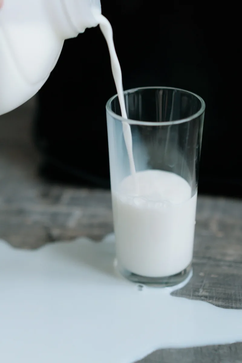 In some European cultures, overly sensitive people are called "glasses of milk", because milk without coffee is so white. Tolerate other's faults; don't be too sensitive. In some European cultures, overly sensitive people are called "glasses of milk", because milk without coffee is so white. Tolerate other's faults; don't be too sensitive.