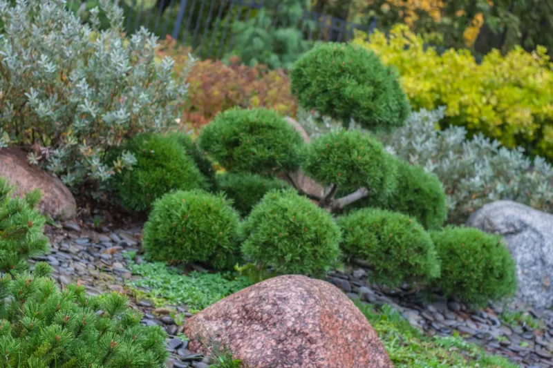 Feature rocks add enduring interest to a garden Feature rocks add enduring interest to a garden
