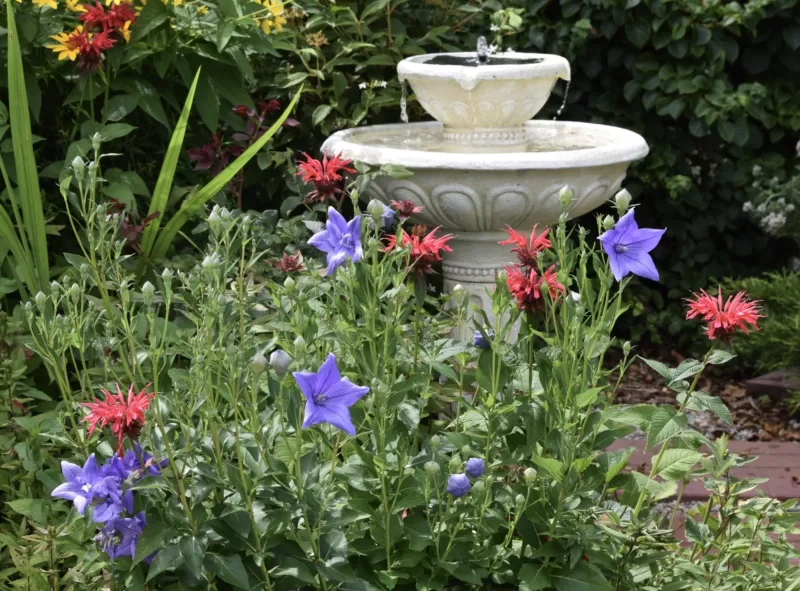 Flowers are used to anchor the base of this birdbath Flowers are used to anchor the base of this birdbath