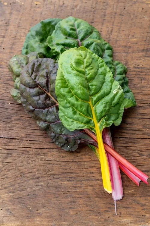 Bright Lights' Swiss chard really glows in a garden image - Bright Lights' Swiss chard really glows in a garden