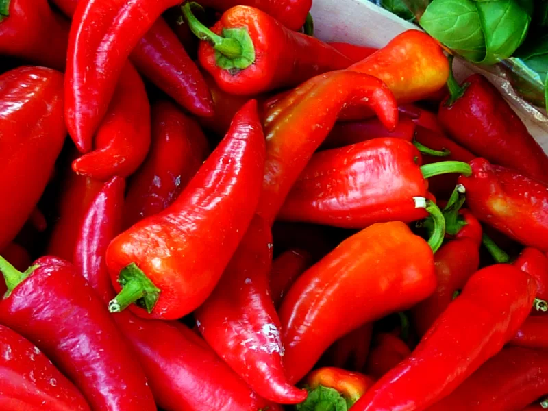 Peppers can be ornamental as well as tasty image - Peppers can be ornamental as well as tasty