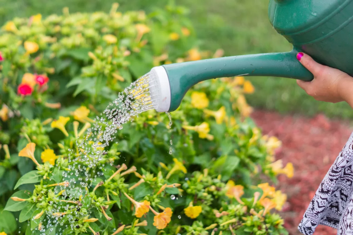 The Joy of Growing Edible Plants - A Journey to Self-Sufficiency