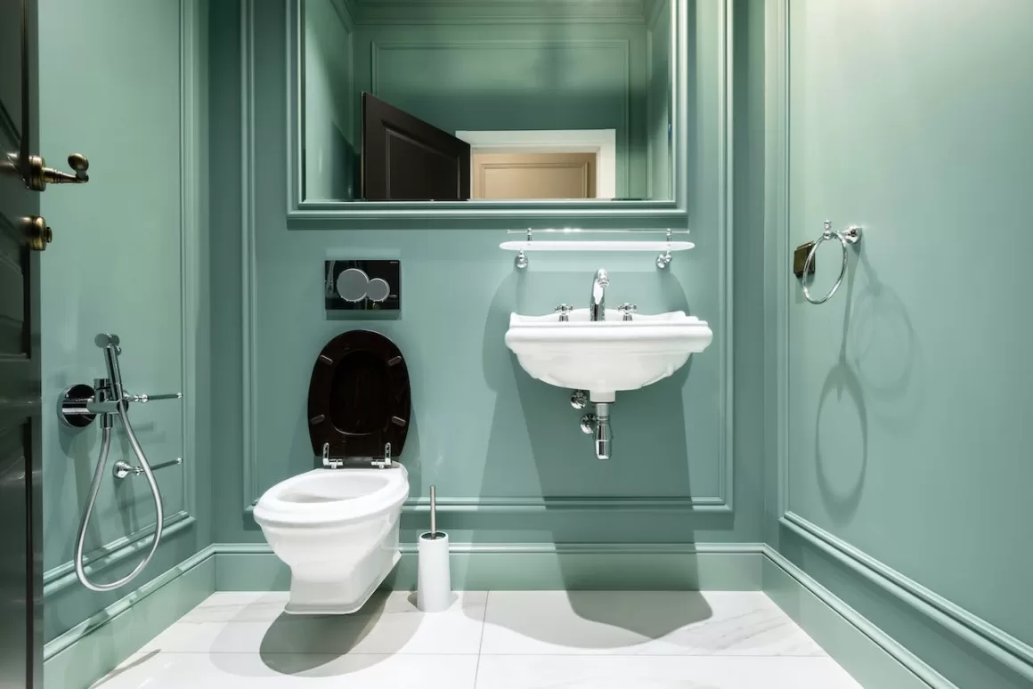 featured image - Choosing the Perfect Toilet for Your Bathroom