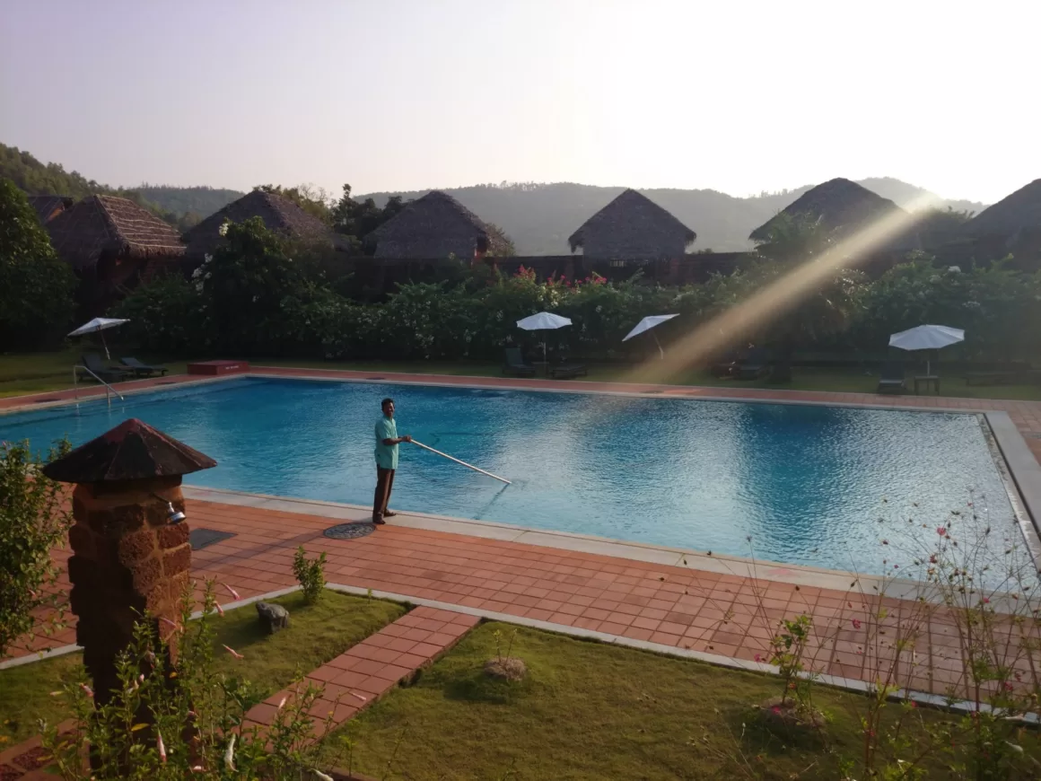 featured image - A Natural Solution for Pool Cleaning